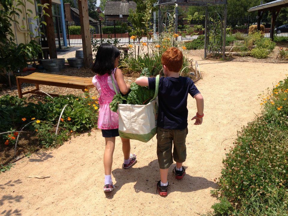 The Edible Schoolyard Greensboro